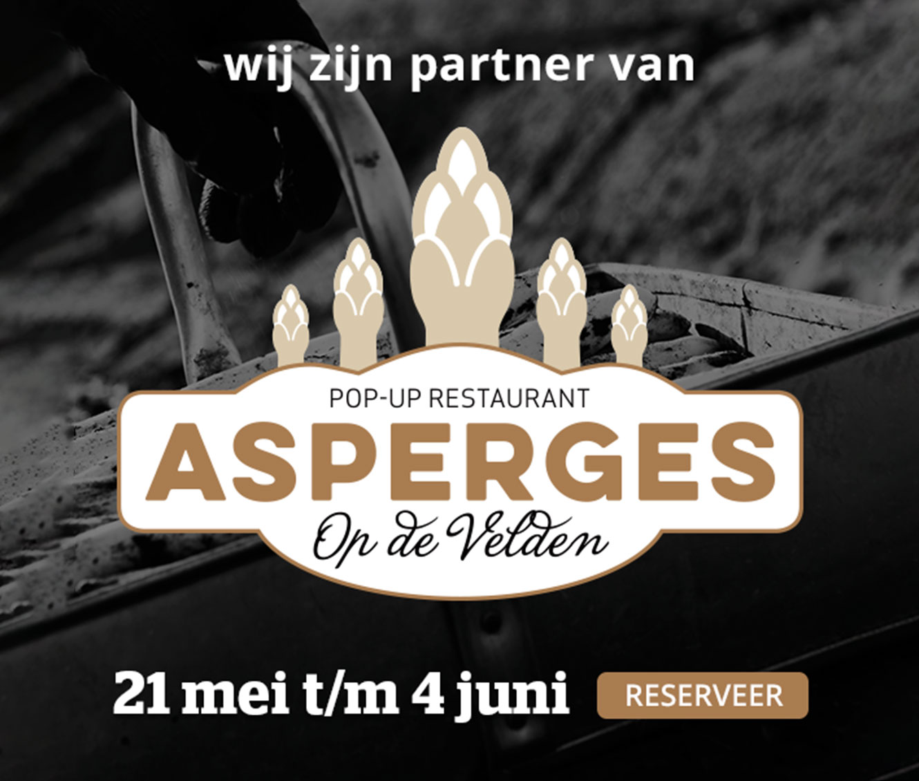 Asperges op de Velden