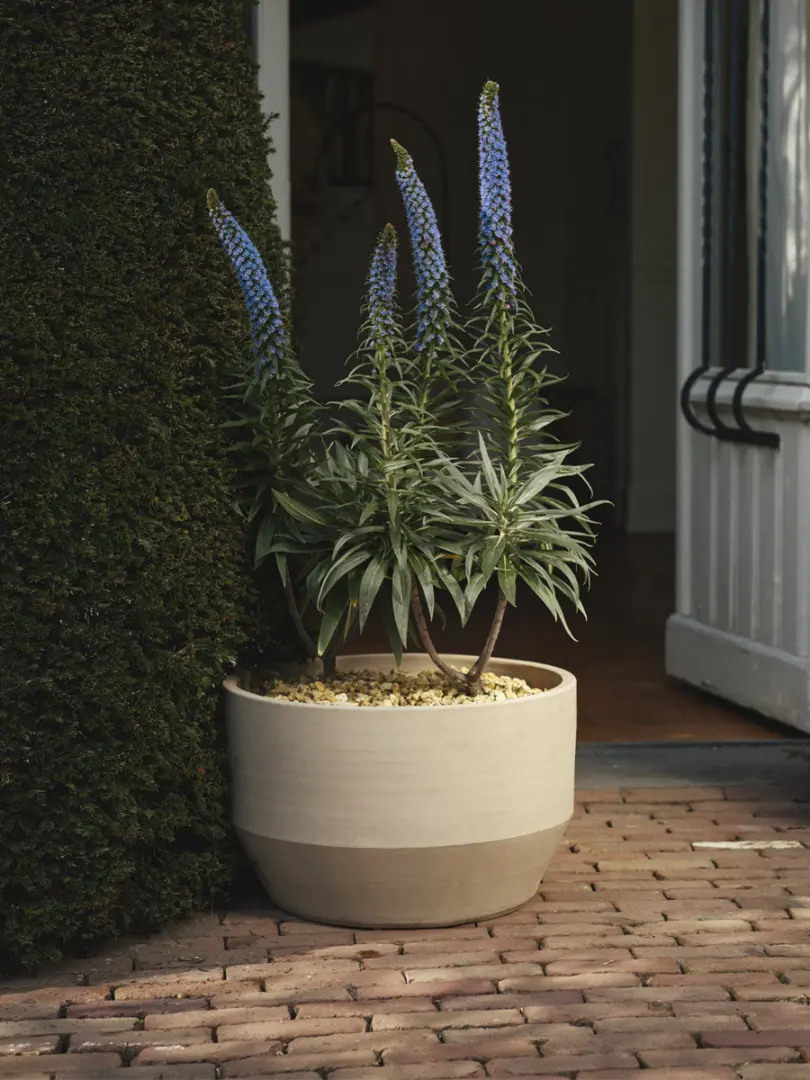 Plantenpot 02 S beige construct