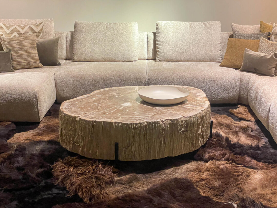 Salontafel versteend hout