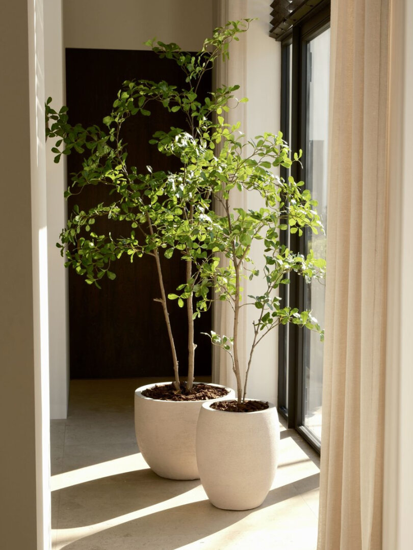 Moringa kunstboom 210 cm