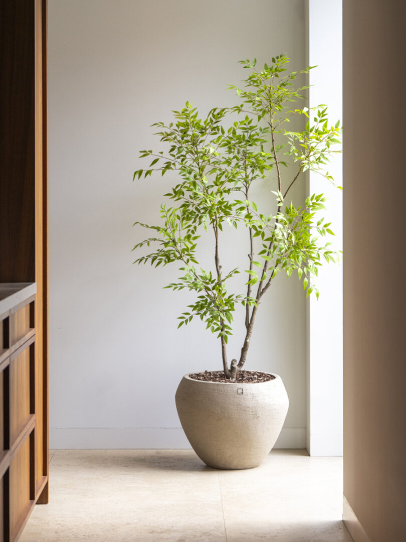 Nandina kunstboom 180 cm