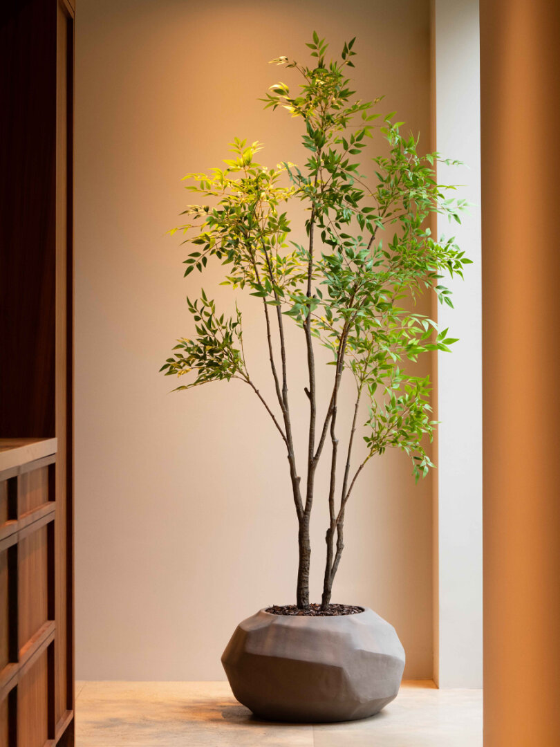 Nandina kunstboom 240 cm